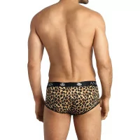 Leoparden Shorty - Mercury - Anaïs for Men (27,90 €) | Poppers Express