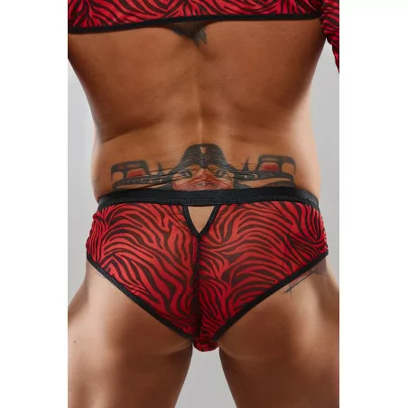 Braziliaanse Slip Zebra Rood en Zwart - Regnes (€ 49,90) | Poppers Express