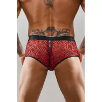 Shorty con Cremallera de Tulle Cebra - Regnes (59,90 €) | Poppers Express