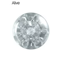 Mini Shot Experience Transparent - Alive (8,90 €) | Poppers Express