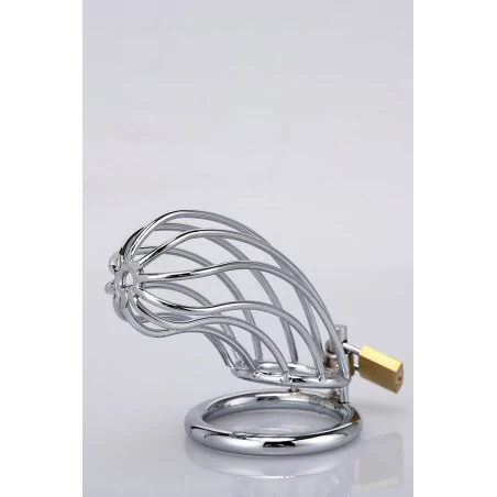 Banana Shape Chastity Cage - XXX Dreamtoys - (€48.90) | Poppers Express